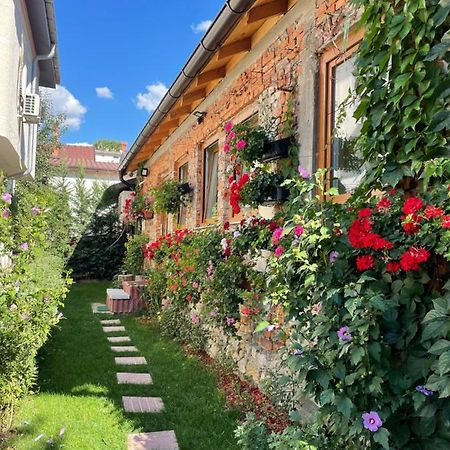 Flower House In The City Center! Prishtinë Exterior photo