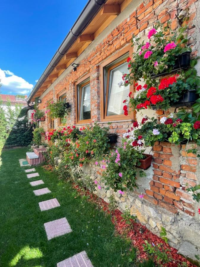 Flower House In The City Center! Prishtinë Exterior photo