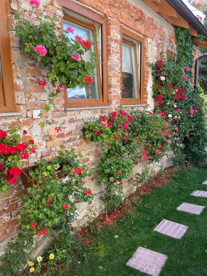 Flower House In The City Center! Prishtinë Exterior photo